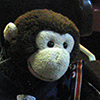 julius a monkey icon